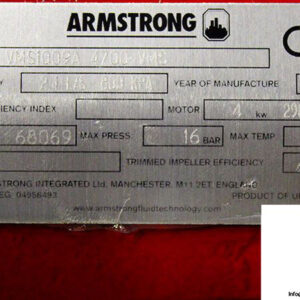 armstrong-vms-1009b-multi-stage-centrifugal-pump-5