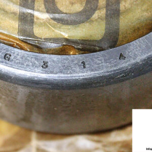 gnutti-TS370-tapered-roller-bearing-(new)-(carton)-2