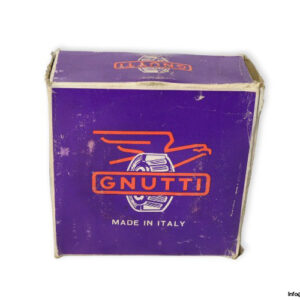 gnutti-TS370-tapered-roller-bearing-(new)-(carton)-3