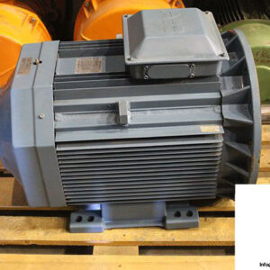 abb-M2AA-250-SMA-8-3-phase-e-motor