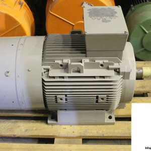 siemens-1LA5207-4AA10-Z-3-phase-e-motor