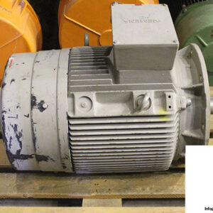 siemens-1LG4220-4AA61-Z-3-phase-e-motor
