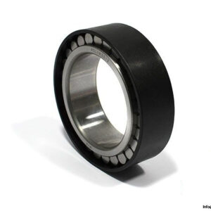mvb-RSL183012-cylindrical-roller-bearing