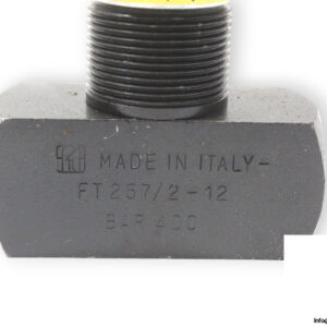 tognella-ft-257_2-12-double-acting-flow-control-valve-2