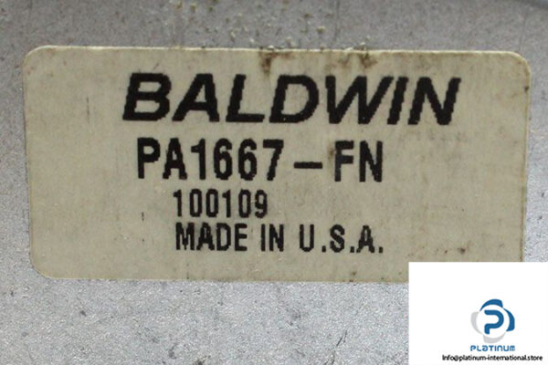 baldwin-pa1667-fn-replacement-filter-element-2