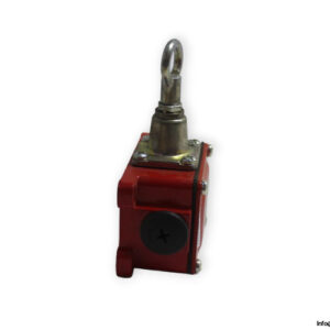 bernstein-sd-u1-rope-pull-switch-1