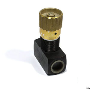 FT257_2-34 flow-control-valve