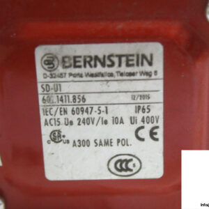 bernstein-sd-u1-rope-pull-switch-2-2