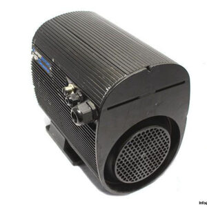 lafert-hpi-90-3000-64-high-performance-motor-2