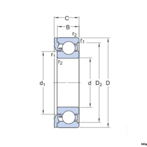 skf-icos-d1b01-tn9_c3-oil-sealed-deep-groove-ball-bearing-4