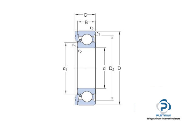 skf-icos-d1b01-tn9_c3-oil-sealed-deep-groove-ball-bearing-4
