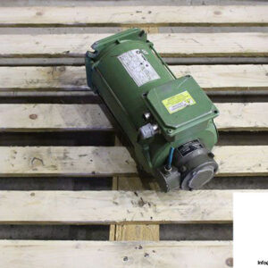 motore-a-corrente-continua-lpv-80-al-dc-motor-1