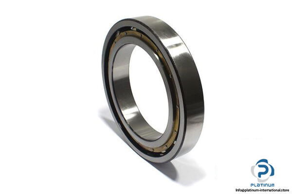 dkfddr-6048-deep-groove-ball-bearing
