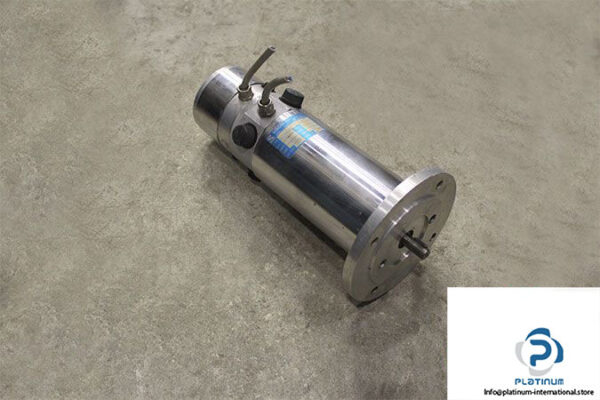 siboni-f.lli-65PM137TG10G63B5-dc-motor-pm