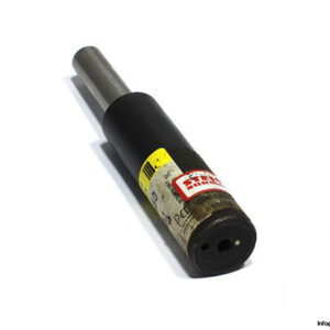 bordignon-csm25-50-dan300-gas-spring-2