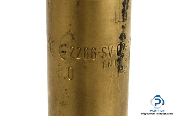 ewo-2266-sv-02-1-10-d_g-043-p-safety-valve-2