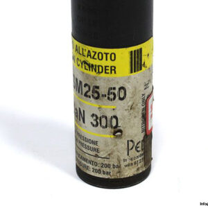 bordignon-csm25-50-dan300-gas-spring-4