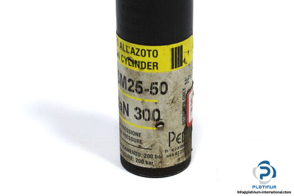 bordignon-csm25-50-dan300-gas-spring-4