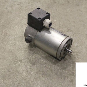 electric-motors-srl-PMM20240300M-dc-motor