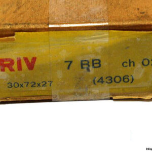 riv-4306-double-row-deep-groove-ball-bearing-2