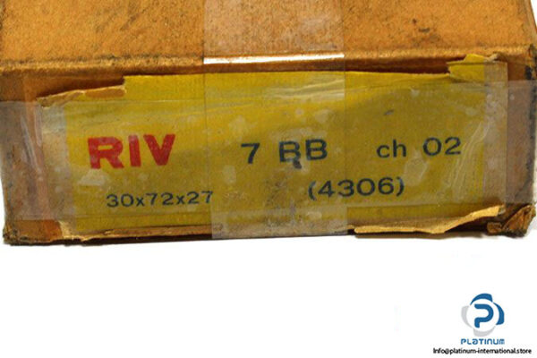 riv-4306-double-row-deep-groove-ball-bearing-2