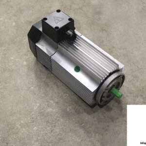 tem-electric-Q7M15240309M-dc-motor