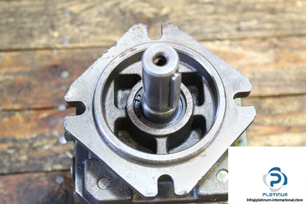 rexroth-pgh4-21_100re07ve4-internal-gear-pump-2
