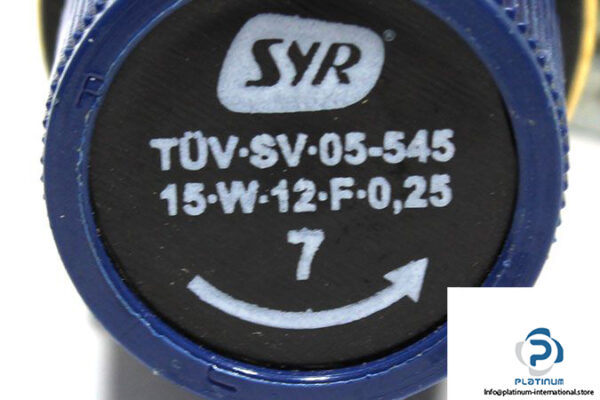 syr-tuv-sv-05-545-15-w-12-f-0-25-safety-valve-2