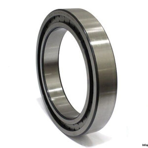 ina-SL18-2940-B-XL-cylindrical-roller-bearing