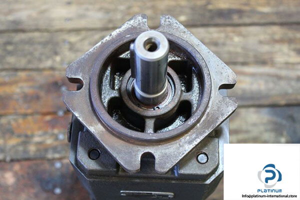 rexroth-pgh4-20_063re07ve4-internal-gear-pump-2
