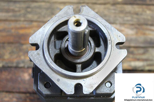 rexroth-r900932165-internal-gear-pump-2