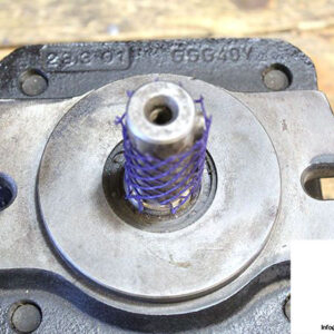 bucher-qr4h-020-zae-internal-gear-pump-2