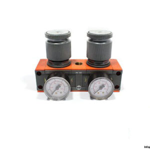 metal-work-reg-100-double-pressure-regulator-2