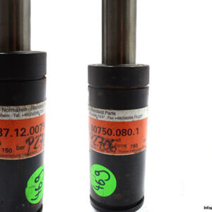 17920-fibro-2487-12-00750-080-1-gas-spring-2