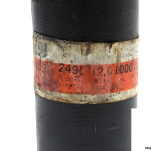 21022-fibro-2490-12-01000-025-gas-spring-2