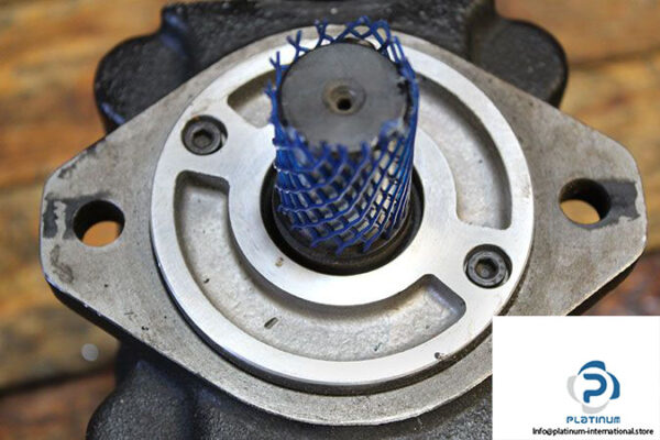 bucher-qt33-012r-internal-gear-pump-2-2