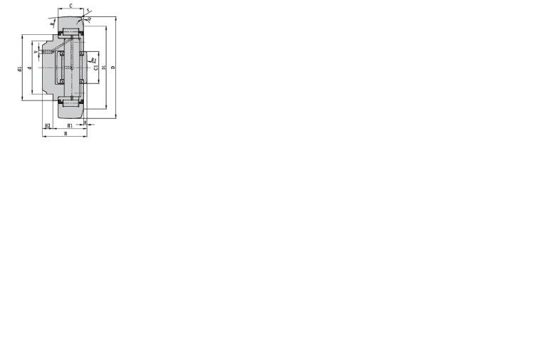 4.0058.88.9-combined-roller-bearing-new-3.jpg