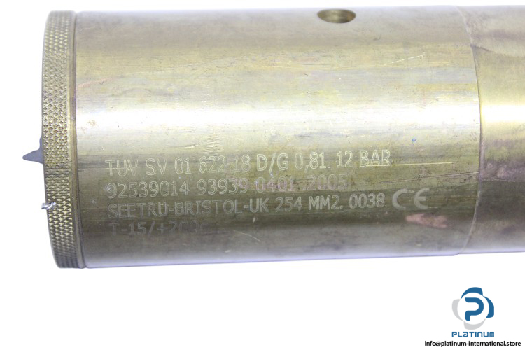 seetru-BS6759-safety-relief-valve-(New)-1