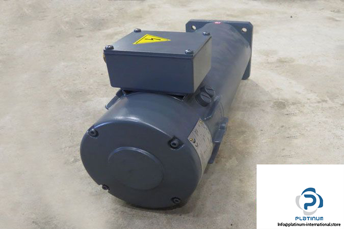 magnetic-br-80-p-22_17-dc-servo-motor-2