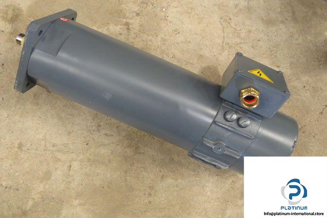 magnetic-br-80-p-22_17-dc-servo-motor-3