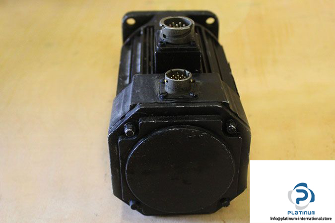 acm-brl-908_2-permanent-magnet-motor-2
