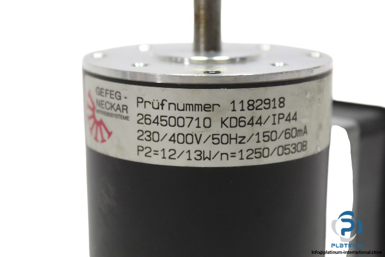 gefeg-neckar-264500710-KD644-asynchronous-motor-new-1