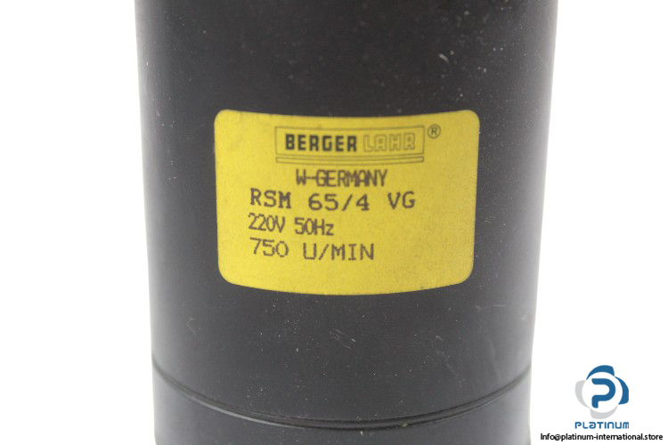 berger-lahr-RSM-65_4-VG-gear-motor-new-1