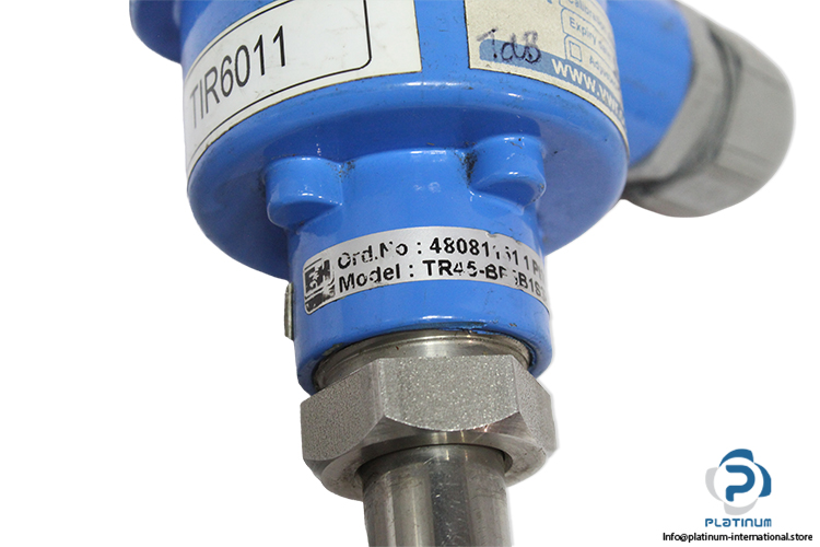 endress-hauser-TR45-BF5B1S3HA0000-thermometer-sensor-pt100-(Used)-2