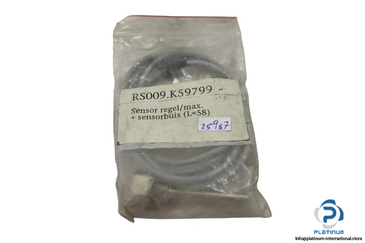 RS009.K59799-temperature-sensor-(new)-1