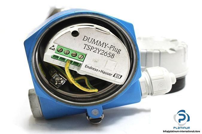 endress-hauser-fti77-a1ayyrvjy3a1a-point-level-switch3_675x450