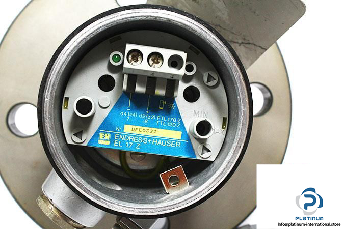 endress-hauser-dl17z0h7a-level-limit-switch4_675x450
