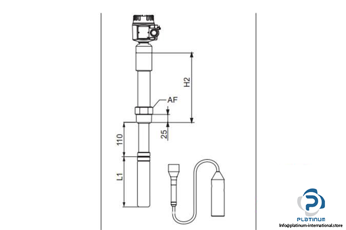 endress-hauser-fti77-a1ayyrvjy3a1a-point-level-switch7_675x450