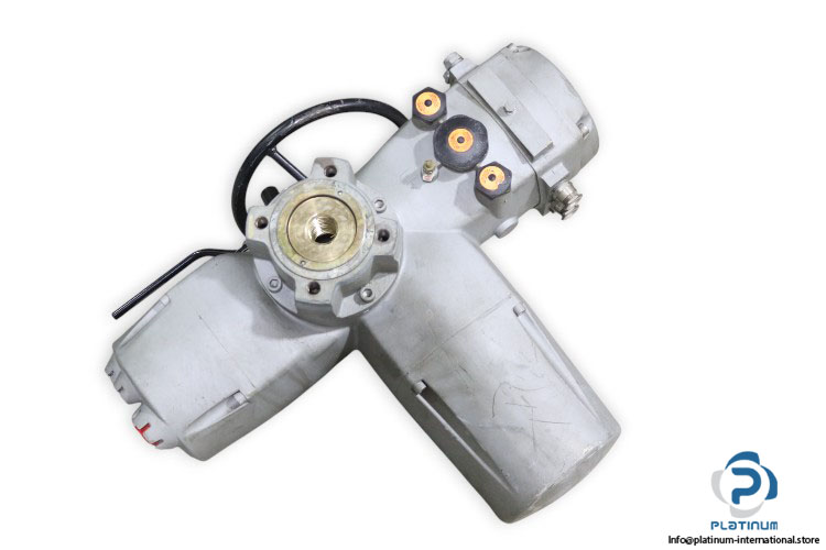 biffi-ICON-030_360-36-electric-actuator-(used)-2