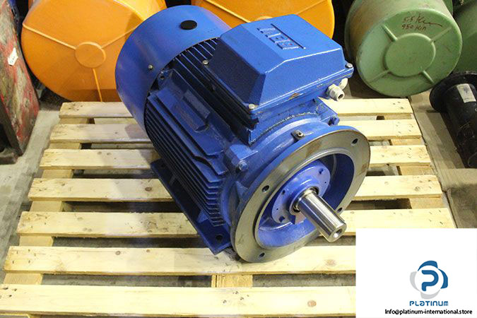 bevi-2d-200l-4-3-phase-electric-motor-2